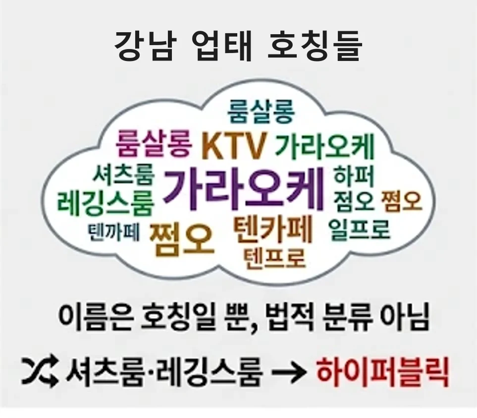 룸살롱·KTV·가라오케·쩜오·셔츠룸… 전부 업계에서 굳어진 호칭이고 법적 분류가 아니다. 셔츠룸·레깅스룸은 지금 하이퍼블릭으로 통합됐다.